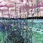 IMG_2784